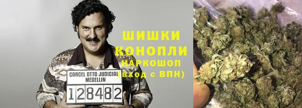 хмурый Арсеньев