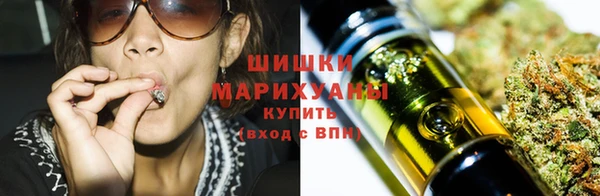 хмурый Арсеньев