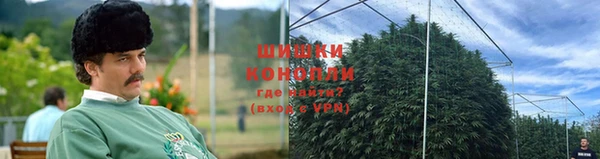 ГАЛЛЮЦИНОГЕННЫЕ ГРИБЫ Армянск