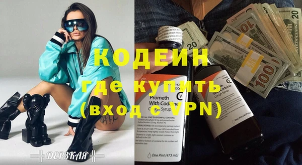 хмурый Арсеньев